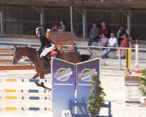 Reitturnier Ingolstadt-Hagau/Obb. 2023