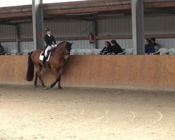 Reitturnier Schlieckau 2023