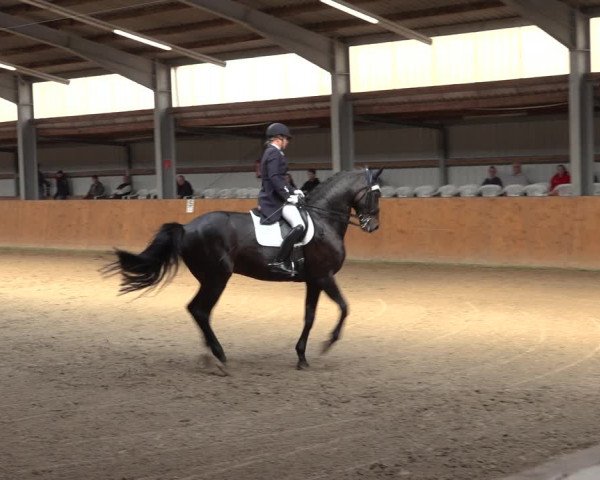 Reitturnier Schlieckau 2023