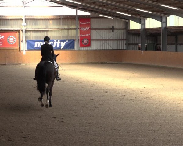 Reitturnier Schlieckau 2023