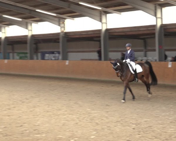 Reitturnier Schlieckau 2023