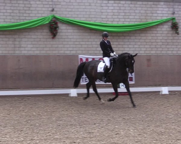 Reitturnier Leverkusen-Rheindorf 2023