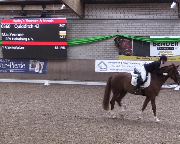 Reitturnier Leverkusen-Rheindorf 2023