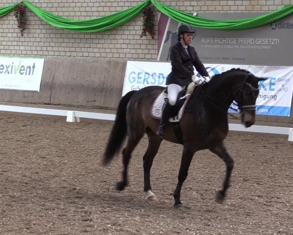Reitturnier Leverkusen-Rheindorf 2023