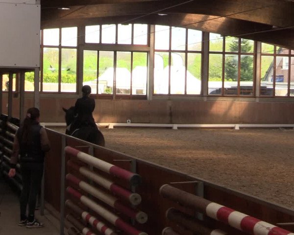 Reitturnier Leverkusen-Rheindorf 2023