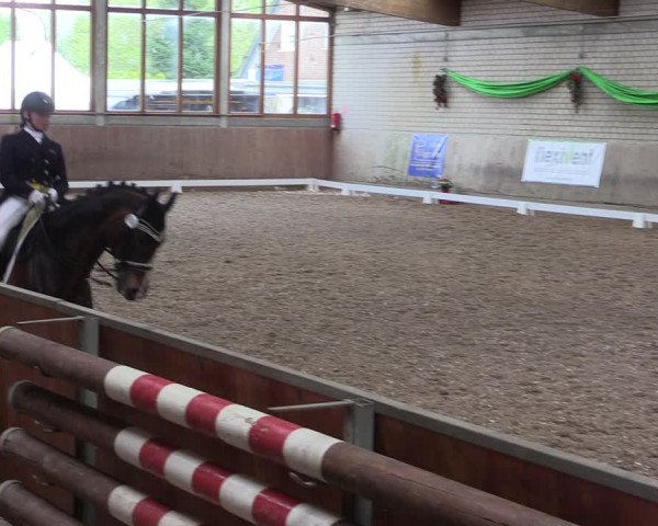 Reitturnier Leverkusen-Rheindorf 2023
