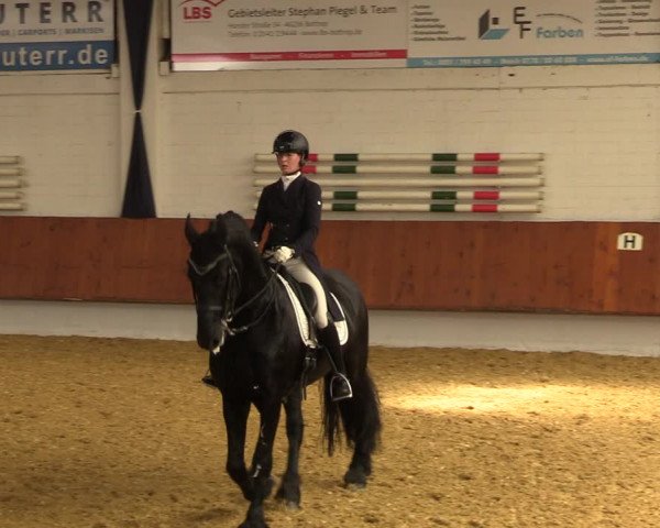Reitturnier Bottrop 2023