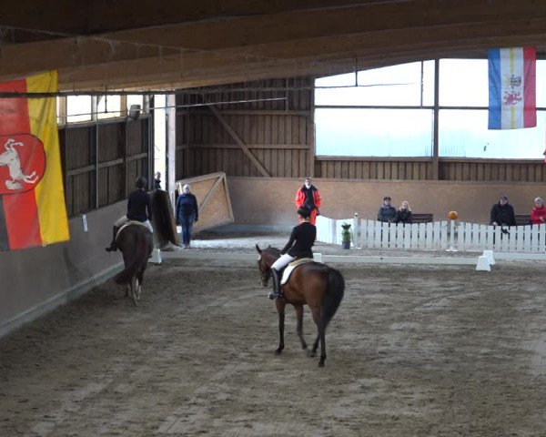 Reitturnier Scharnebeck 2021