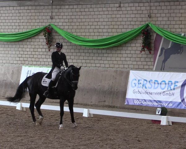 Reitturnier Leverkusen-Rheindorf 2023