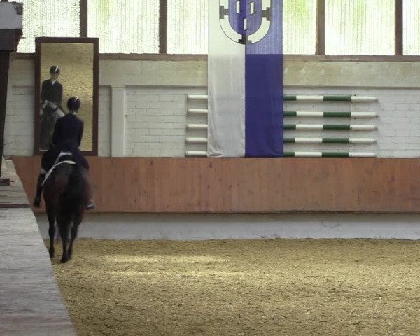 Reitturnier Bottrop 2023