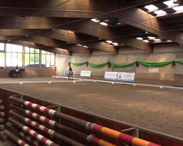 Reitturnier Leverkusen-Rheindorf 2023