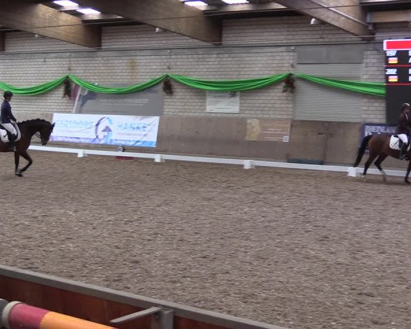 Reitturnier Leverkusen-Rheindorf 2023