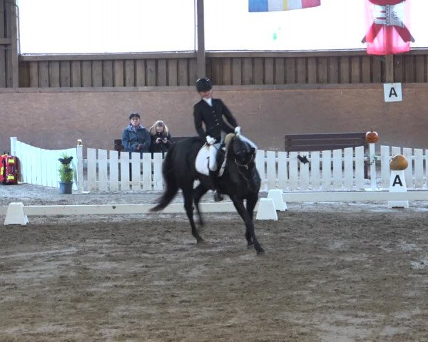 Reitturnier Scharnebeck 2021