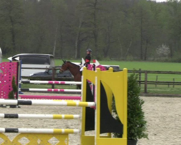 Reitturnier Diepholz 2023