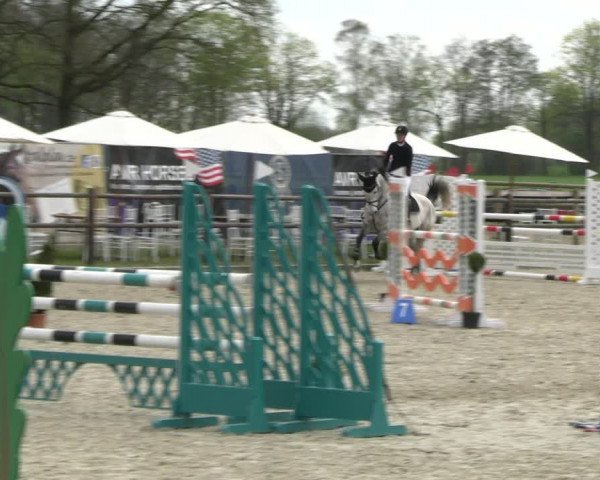 Reitturnier Diepholz 2023