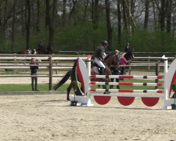 Reitturnier Diepholz 2023