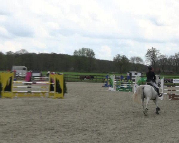 Reitturnier Diepholz 2023