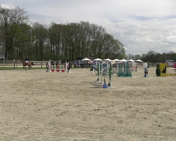 Reitturnier Diepholz 2023