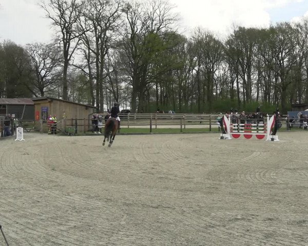 Reitturnier Diepholz 2023