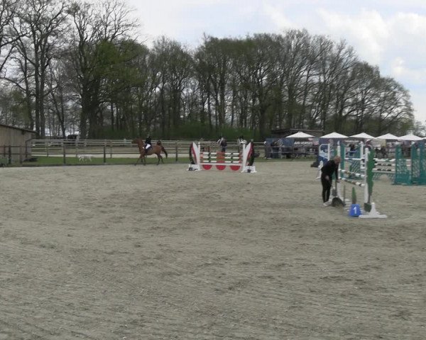 Reitturnier Diepholz 2023