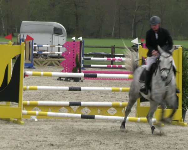 Reitturnier Diepholz 2023