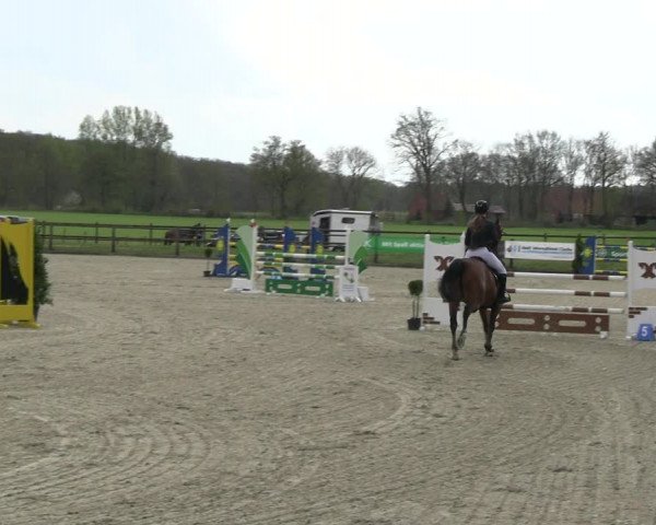 Reitturnier Diepholz 2023