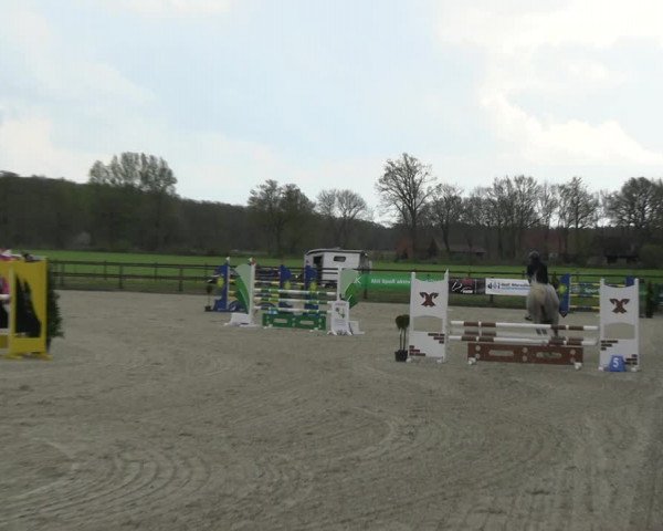 Reitturnier Diepholz 2023