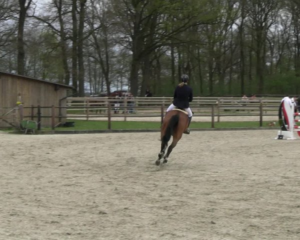 Reitturnier Diepholz 2023