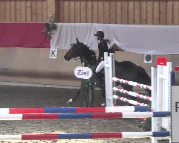 Reitturnier Schwendi 2021