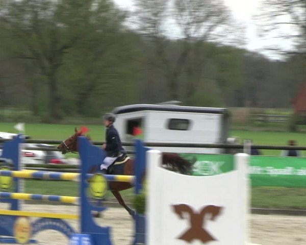 Reitturnier Diepholz 2023