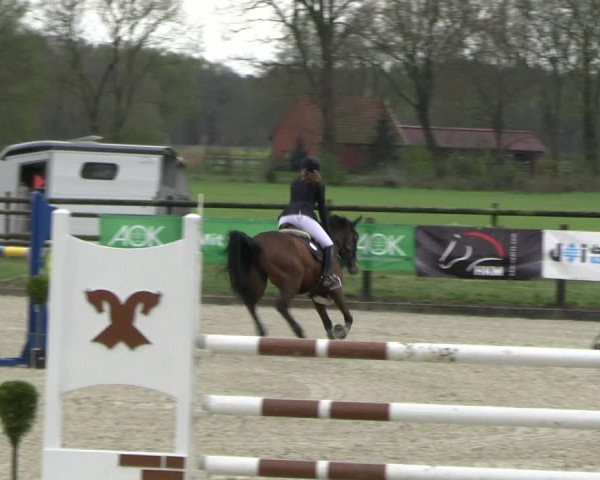 Reitturnier Diepholz 2023