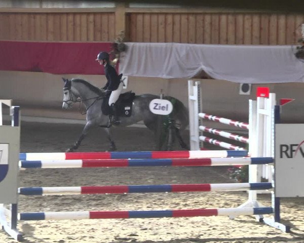 Reitturnier Schwendi 2021