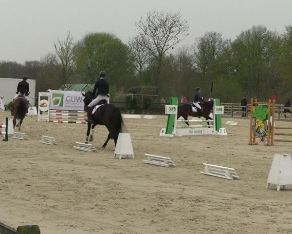 Reitturnier Nienberge 2023