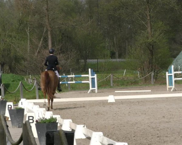 Reitturnier Handorf 2023
