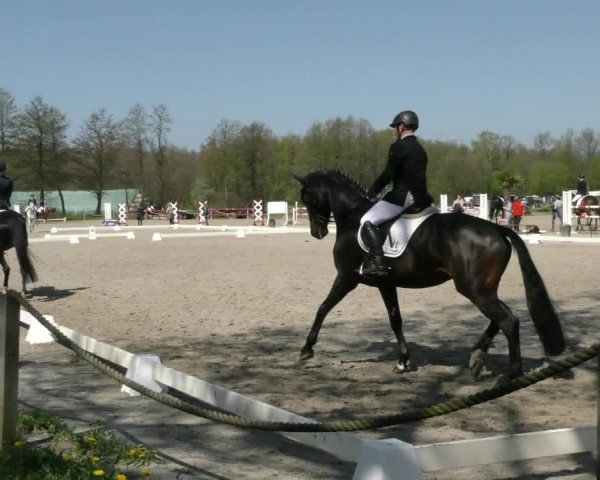 Reitturnier Handorf 2023