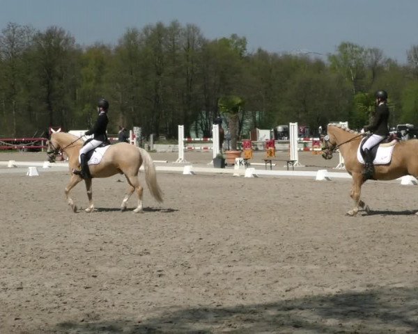 Reitturnier Handorf 2023