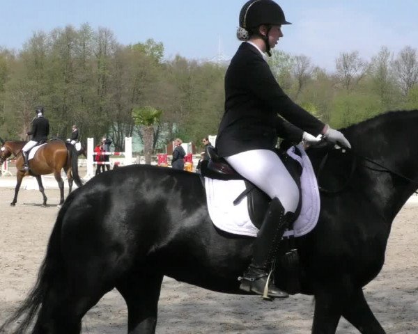 Reitturnier Handorf 2023