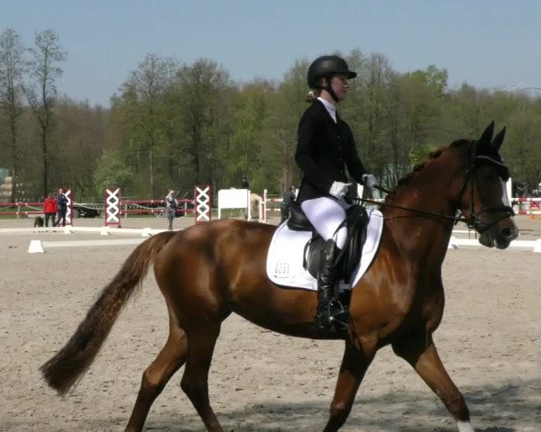 Reitturnier Handorf 2023