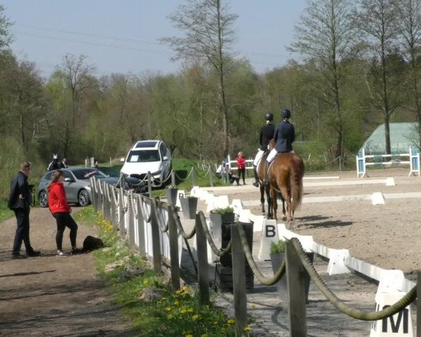 Reitturnier Handorf 2023