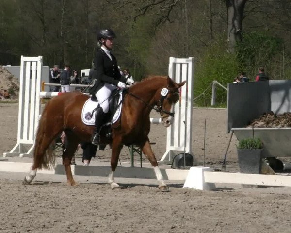 Reitturnier Handorf 2023