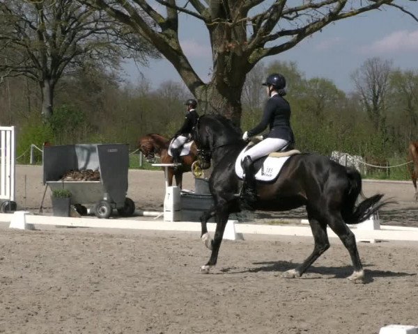 Reitturnier Handorf 2023