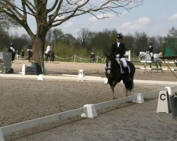 Reitturnier Handorf 2023
