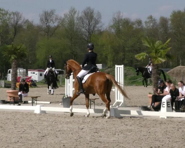 Reitturnier Handorf 2023