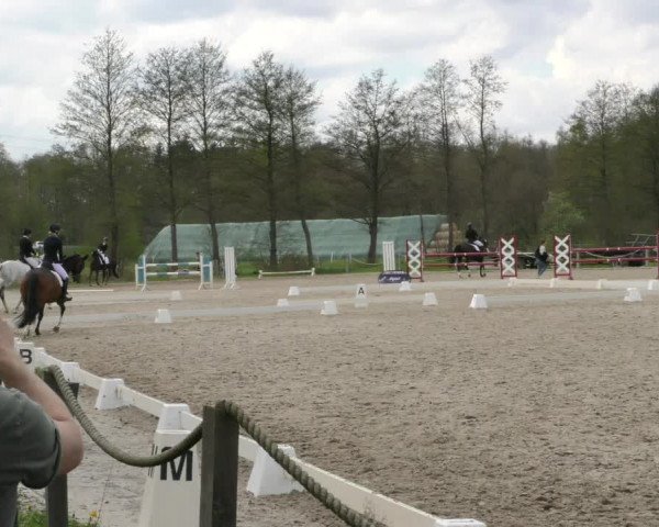 Reitturnier Handorf 2023