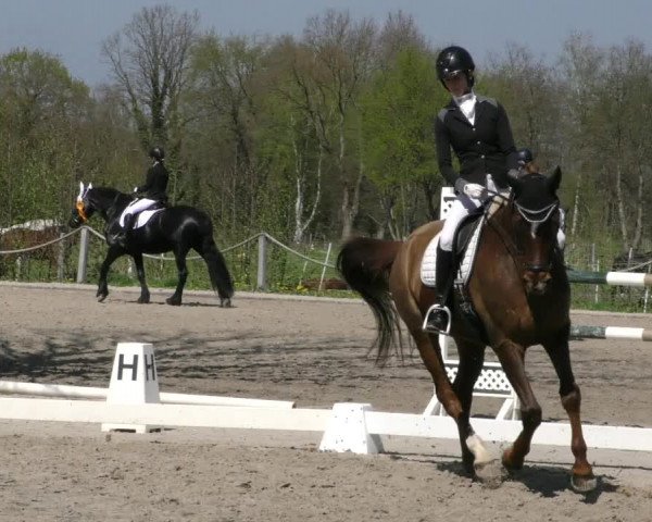 Reitturnier Handorf 2023
