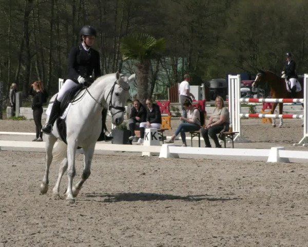 Reitturnier Handorf 2023