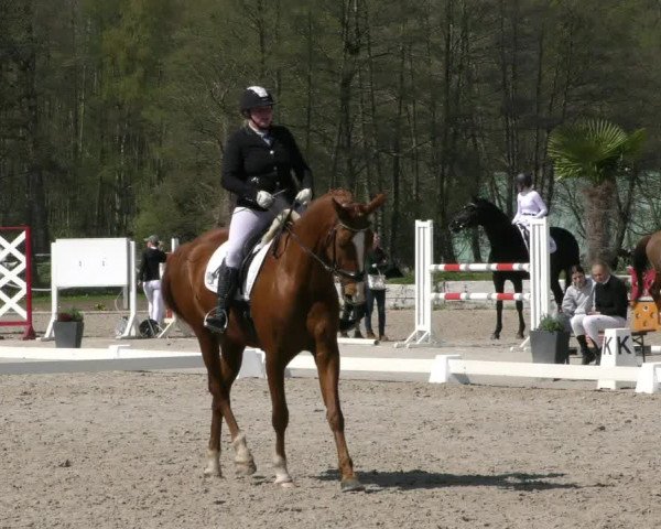 Reitturnier Handorf 2023