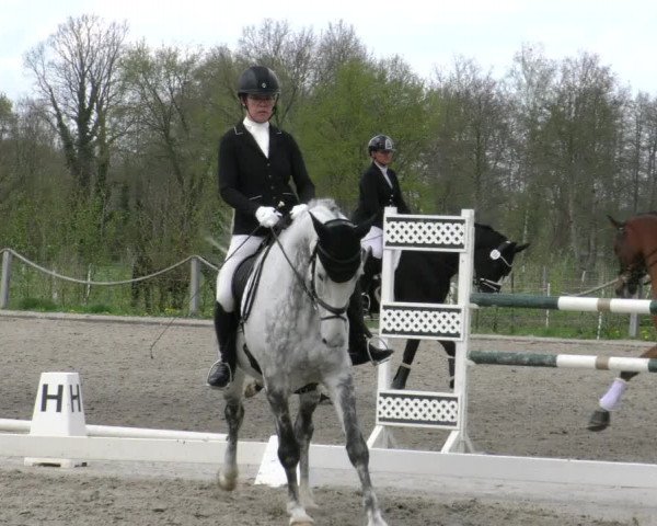 Reitturnier Handorf 2023
