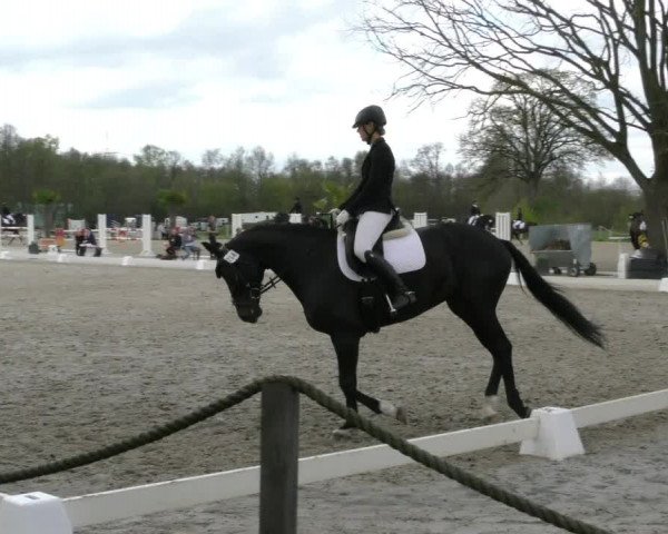 Reitturnier Handorf 2023