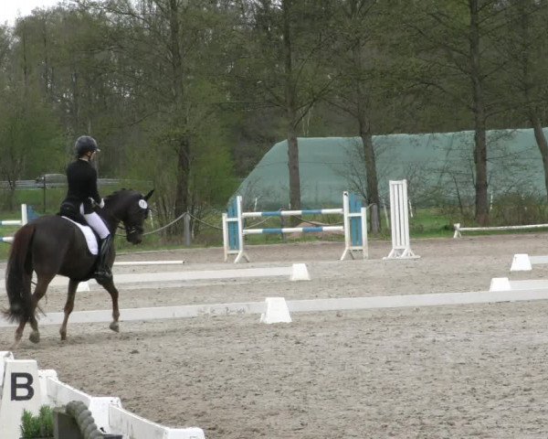 Reitturnier Handorf 2023